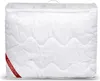 A white duvet is shown in its clear plastic packaging. Náhled obrázku produktu