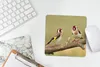 MuchoWow® Mauspad Mousepad Zwei kleine Stieglitze auf einem Produktbild-Vorschau 5