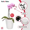 KOTARBAU® bloempot wit keramiek geglazuurd ? 12 cm hoogte: Productafbeelding-voorbeeld 5