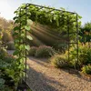 Relaxdays Rosenbogen, Metall, HxBxT: 220 x 200 x 38 cm, Produktbild-Vorschau 5