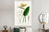 MuchoWow® Poster Pflanze - Vintage - Blatt 120x180 cm - Produktbild-Vorschau 4