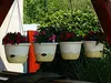 Plastia Mareta Blumenampel zum Aufhängen, 30 cm, Produktbild-Vorschau 9