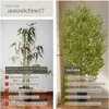 tectake® Künstlicher Bambusbaum Bambosa verschiedene Größen Produktbild-Vorschau 4