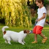 Set di giocattoli per cani Relaxdays, 4 pezzi, nodi e Anteprima dell’immagine prodotto 3