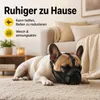 2er-Set Maulkorb Französische Bulldogge, schwarz & gelb, Produktbild-Vorschau 4
