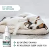 REAVET Ohrentropfen mit kolloidalem Silber 50ml I für Hunde Produktbild-Vorschau 4