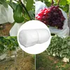 100Stk Trauben Schutz Taschen Obst GemÜSe Trauben Netz Produktbild-Vorschau 5