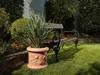 Garden Italia Pots Zylindertopf mit Zitronen ICLM Produktbild-Vorschau 3