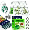 KADAX Gurken Rankhilfe Set – 9 x Pflanzstab 150 cm, Produktbild-Vorschau 1