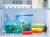 Lékué 3400231S01U150, Zelená, Oranžová, Červená, Žltá, Náhľad obrázku produktu 10