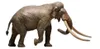 Eofauna FIG-002 Evropský lesní slon (Palaeoloxodon Náhled obrázku produktu 2