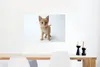 MuchoWow® Poster Katze - Rot - Kätzchen - Mädchen - Kinder Produktbild-Vorschau 6