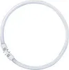 Osram Lumilux T5 rund FC 40W - 840 Kaltweiß | 30cm Produktbild-Vorschau 1