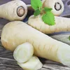 Petržel poloraná 6m páska Pozdní odrůda s vysokými výnosy Náhled obrázku produktu 7