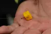 LK Baits CUC  40g Goût : ail des ours Voir les images du produit 7