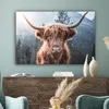 OneMillionCanvasses® - Plátno - Skotský horal - Kráva - Náhled obrázku produktu 4