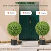 SucceBuy Arbres artificiels en forme de buis 24 pouces de Voir les images du produit 6