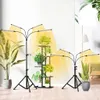 Pflanzenlampe Mit Ständer Fernbedienung Led Vollspektrum Produktbild-Vorschau 2