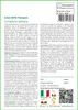 SAFLAX  - Erba delle Pampas - 200 semi - Cortaderia Anteprima dell’immagine prodotto 3