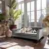 Two dogs are resting on a pet sofa in a sunlit room with large windows and plants. Voir les images du produit