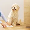 Navaris Urne für Hund oder Katze - Tierurne inkl. Platz für Produktbild-Vorschau 3