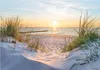 Fototapeta plaża i morze Morze Bałtyckie natura wydmy Podgląd zdjęcia produktu 1