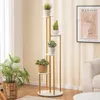 A multi-tiered plant stand with several potted plants is displayed in a well-lit room next to a sofa and a framed artwork. Náhled obrázku produktu