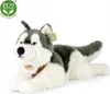 Peluche Husky Con Pettorina 60 Cm Ecologico Anteprima dell’immagine prodotto 9