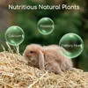 Nobleza - (2.5kg) Kaninchen Wiesenhe, Hauptfutter für  Produktbild-Vorschau 3