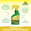 Promanal AF Grünpflanzen SchädlingsFrei Spray gegen Produktbild-Vorschau 2