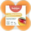Bolsius Maxi-Lights Mango 8 kusov Náhľad obrázku produktu 2