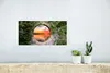 MuchoWow® Poster Meer - Sonnenuntergang - Ausblick 40x20 cm Produktbild-Vorschau 5
