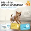 A small dog wearing a diaper is standing on a floor with marketing graphics and text around it. Produktbild-Vorschau