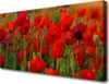 Tulup Leinwand-Bilder 100x50 Wandbild Canvas Kunstdruck Produktbild-Vorschau 1