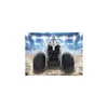 RC Monster Truck "Big Shark 2.0" Produktbild-Vorschau 7