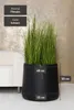 VIVANNO Blumentopf Fiberglas VEKRA Rund, Schwarz matt - Produktbild-Vorschau 7