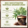 Green Home Grow-Erde 72 Liter | All Mix Erde für Wachstum & Produktbild-Vorschau 4