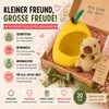 Capybara Plüschtier Kuscheltier 18cm im Früchte-Versteck Produktbild-Vorschau 8