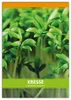 Einfache Kresse für Werbezwecke (100 Tütchen) | Kressesamen Produktbild-Vorschau 2