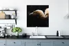 MuchoWow® Poster Geier - Weiß - Schwarz 75x75 cm - Wand Produktbild-Vorschau 3