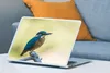 MuchoWow® Laptop Aufkleber Sticker Cover Eisvogel - Zweig - Produktbild-Vorschau 4