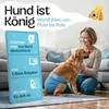 HUND IST KÖNIG Windeln für Hündinnen [3 Stk], XS (21 bis 29 Produktbild-Vorschau 8