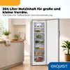 Exquisit Gefrierschrank 204 l No Frost | Energieklasse C | Produktbild-Vorschau 5