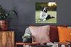 MuchoWow® Poster Ein glücklicher Border Collie, dem die Produktbild-Vorschau 2