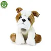 Rappa Plüsch Bulldogge Kuscheltier 26 cm umweltfreundliches Produktbild-Vorschau 8