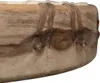 SELA SESHD16G Shaman Drum Goat Produktbild-Vorschau 4