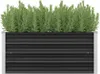 vidaXL Lit surélevé de jardin Anthracite 100 x 40 x 45 cm Voir les images du produit 9