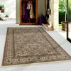Tappeto KASHMIR BEIGE 120 X 170cm rettangolo Anteprima dell’immagine prodotto 2