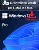 Windows 11 Pro Hauptbild Produktbild-Vorschau