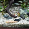 Gravier d'aquarium, quartz 2-3 mm clair, 16 kg Voir les images du produit 10